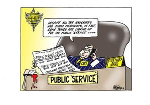 Public service CEOs