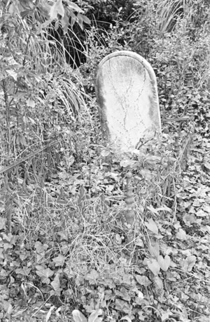 Grave of Ellen Booth, plot 4503, Bolton Street Cemetery