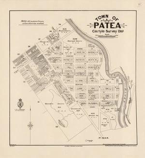 Town of Patea, Carlyle Survey Dist. [electronic resource] / W. Gordon, del. ; Francis Simpson, Chief surveyor, Taranaki.