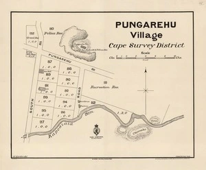 Pungarehu Village, Cape Survey District / W. Gordon del.