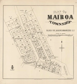 Plan of Mairoa township : block VIII, Maungamangero S.D. / surveyed by A.A. Seaton.
