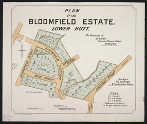Plan of the Bloomfield estate, Lower Hutt : the property of S. Salek / Wyn O. Beere, authorised surveyor.