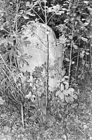 Grave of William Sentinel, plot 4409 Bolton Street Cemetery