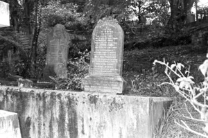 Brown family grave, plot 5802, Bolton Street Cemetery