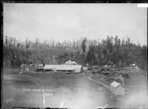 State Sawmill at Kakahi