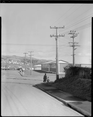 Suburban street, Porirua, Wellington