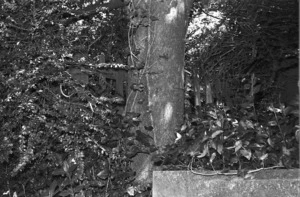 The Hatch family grave, plot 3017, Bolton Street Cemetery