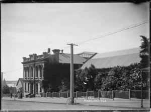 Auckland Institute and Museum, Auckland