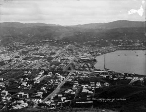 Wellington from Mount Victoria