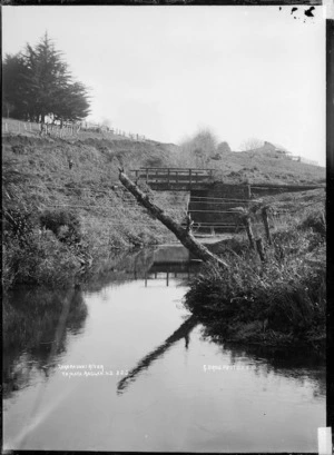 Takapaunui River, Raglan County, 1910 - Photograph taken by Gilmour Brothers