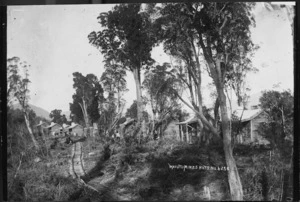 Miners' huts at Waiuta, a goldmining town