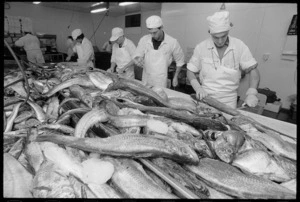 Processing Hoki at Cook Strait Seafoods, Wellington