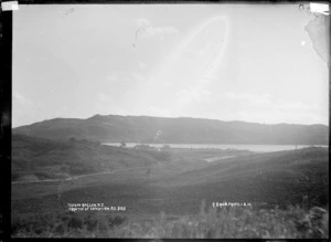 Te Akau, near Raglan, 1910 - Photograph taken by Gilmour Brothers