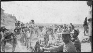 Indian camel corps at El Kubri, Egypt