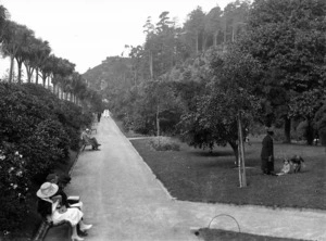 A view of part of the Botanic Gardens, Wellington