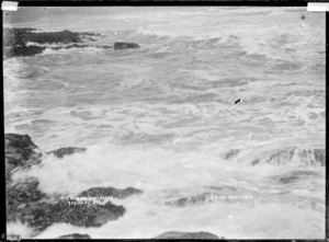 "The breakers", west coast, near Raglan, 1910 - Photograph taken by Gilmour Brothers