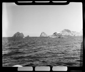 Cape Brett, Bay of Islands, Far North District, Northland