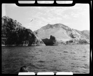 Cape Brett, Bay of Islands, Far North District, Northland