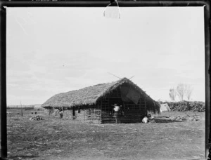 Cookhouse at Pakirikiri Pa near Gisborne