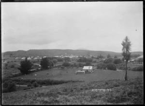 View of Otorohanga township
