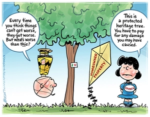 Charlie Brown is hung out to dry from a heritage protected tree