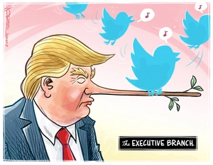 The Executive Branch