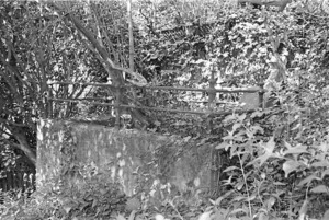 The grave of Charles Knight, plot 3005, Bolton Street Cemetery