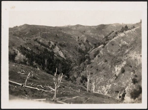 View of pastoral landscape, Te Pora Station, Tokomaru Bay.