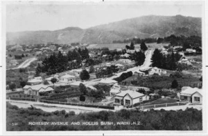 Township of Waihi, Hauraki district