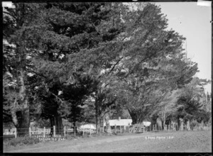 Lynnwood Homestead, Te Uku, near Raglan, 1910 - Photograph taken by Gilmour Brothers