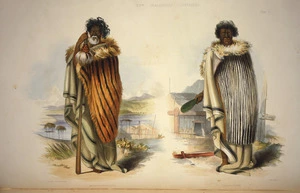 Angas, George French, 1822-1886 :Muriwhenua. Kahawai / George French Angas [delt]; J. W. Giles [lith]. Plate 51. 1847.