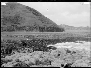 Mussel Rocks (Te Kaha Point), near Raglan, 1910 - Photograph taken by Gilmour Brothers