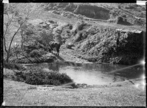 "The retreat", Te Mata, 1910 - Photograph taken by Gilmour Brothers