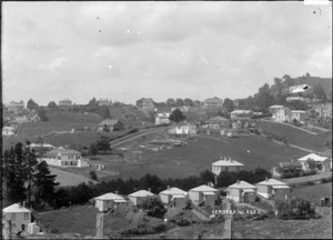 View of Remuera and Mount Hobson
