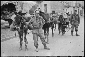 New Zealand soldiers in Italy with their pack mules, Christmas morning, during World War II - Photograph taken by George Kaye