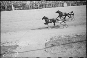 Horses and drivers in Italy at a trotting meeting organised by the New Zealand Division during World War II - Photograph taken by George Kaye