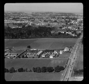 Glendene farm, Auckland