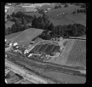 A A Corban & Sons Limited [vineyard?], Great North Road, Henderson, Waitakere City, Auckland