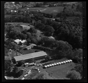 H E Chapman's Poultry Farm, Edmonton Road, Henderson, Waitakere City, Auckland