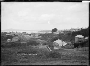 View of Remuera looking towards Rangitoto Island