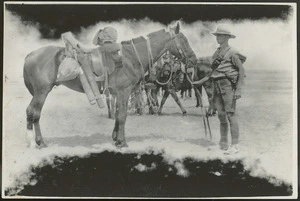 Soldier with troop horse saddled up for a march