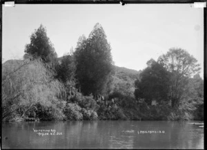 Waitetuna Bay, at the mouth of the Waitetuna River, near Raglan, 1910 - Photograph taken by Gilmour Brothers