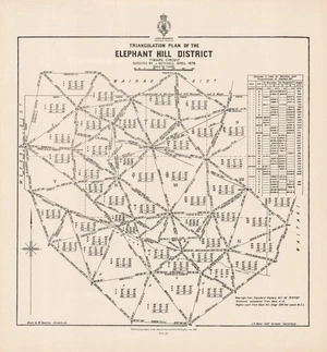 Triangulation plan of the Elephant Hill District / Timaru circuit surveyed by J. Mitchell, April 1878 ; drawn by W. Hamilton, Christchurch.