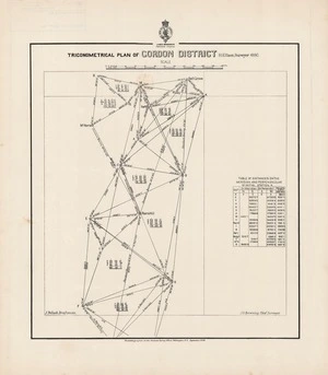 Trigonometrical plan of Gordon District / H.Ellison, Surveyor 1880.