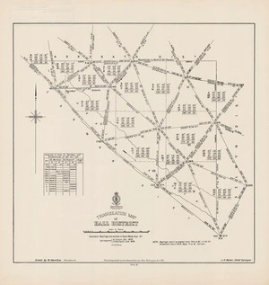 Triangulation map of Hall District / drawn by W. Hamilton Christchurch.