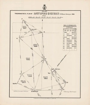 Trigonometrical plan of Motupiko District / H. Ellison, surveyor 1880.