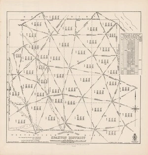 Triangulation map of Spaxton District / H. Maitland Suryr March 1878 ; drawn by W. Hamilton.