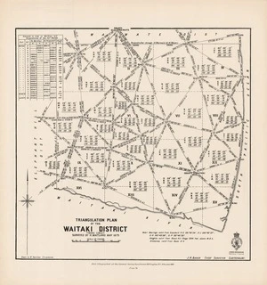 Triangulation plan of the Waitaki District : Timaru circuit / surveyed by H. Maitland May 1879 ; drawn by W. Hamilton, Christchurch.