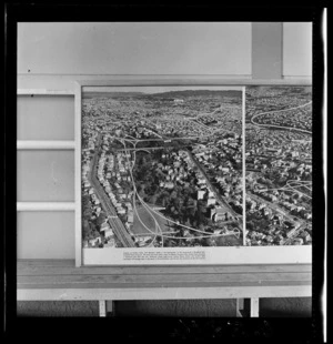 Grafton Gully, Auckland, photograph used in the Changing Auckland Exhibition