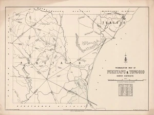 Triangulation map of Puketapu & Tongoio survey districts / surveyed by W. Hallett, January, 1879 ; H. McCardell delt, November 1894.